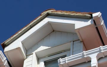 Raw fascia installation costs