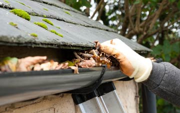 gutter cleaning Raw, North Yorkshire