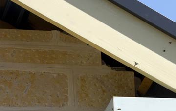 soffit repair Raw