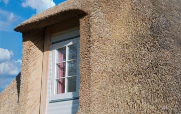 Raw thatch roof disadvantages